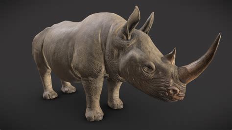 rhino 3d